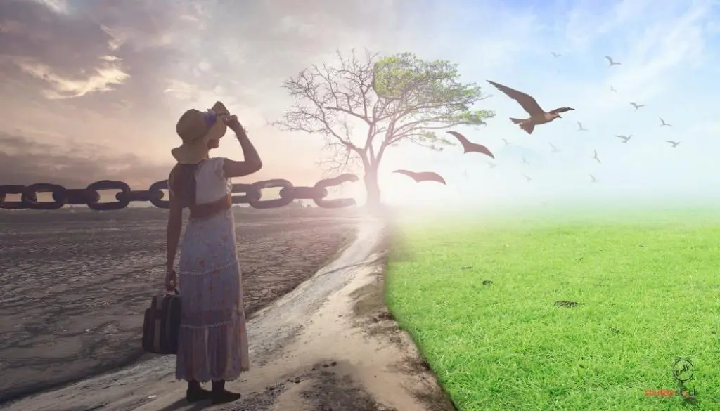 A woman standing on the side of a road looking at birds.