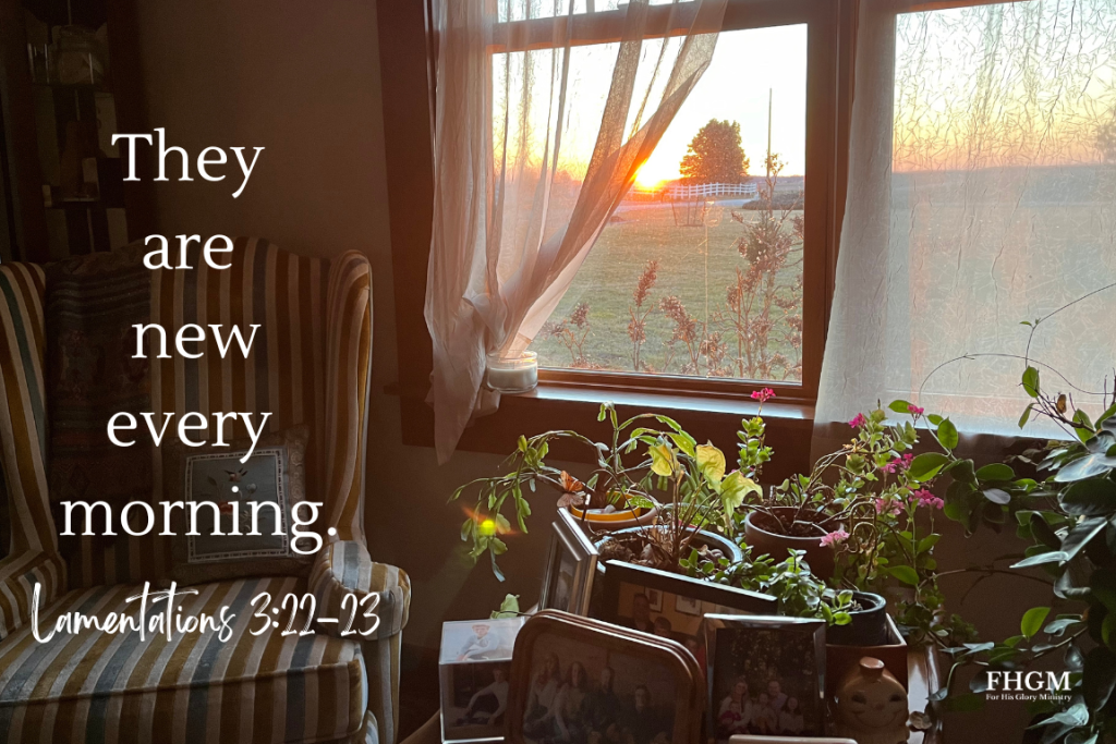 A room with flowers and a window.