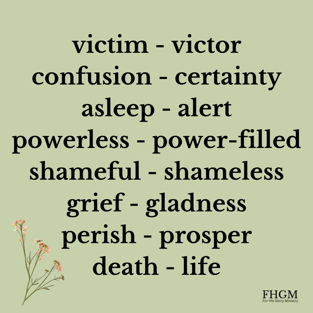 A word cloud with the words victim, victor, confusion and certainty.