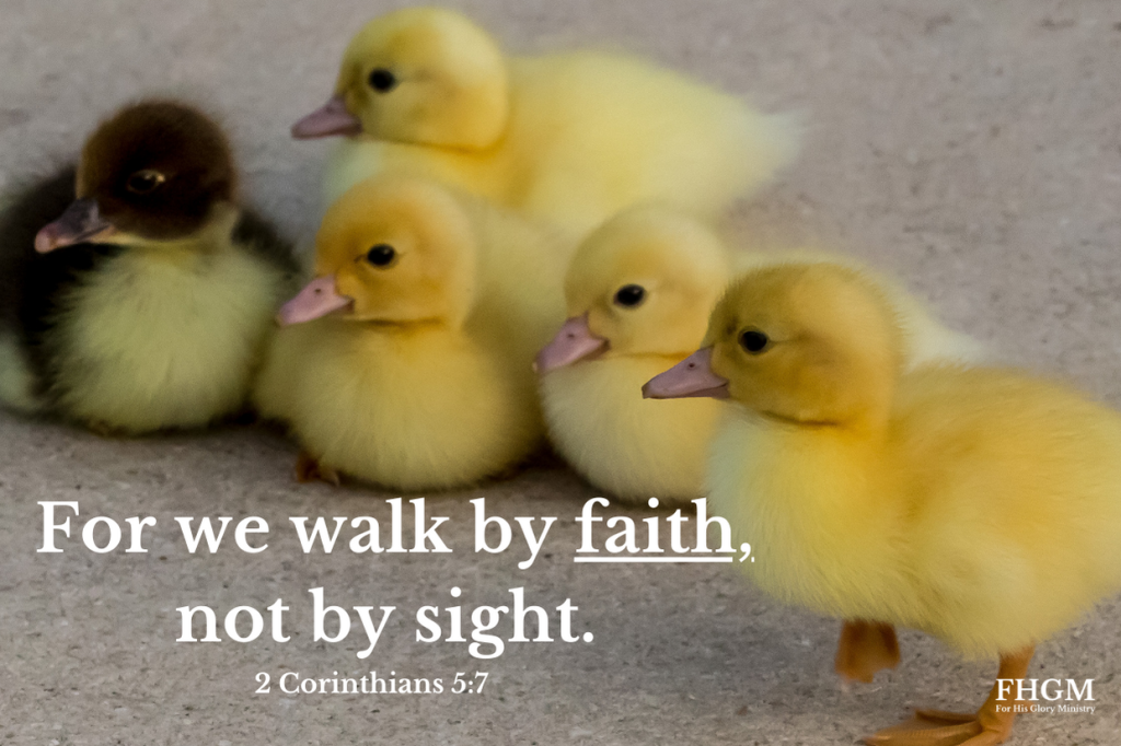 A group of ducks with the bible verse 2 corinthians 5 : 7.