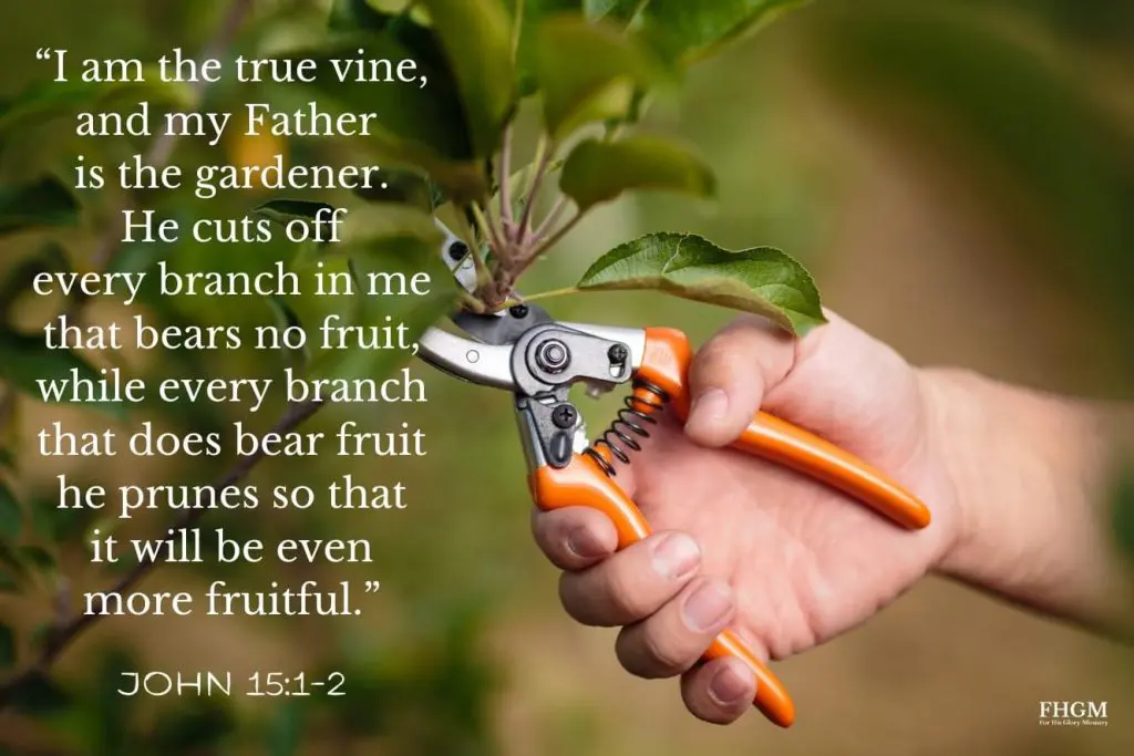 A person holding a pair of scissors with the words " psalm 1 5 1 : 2 " on them.