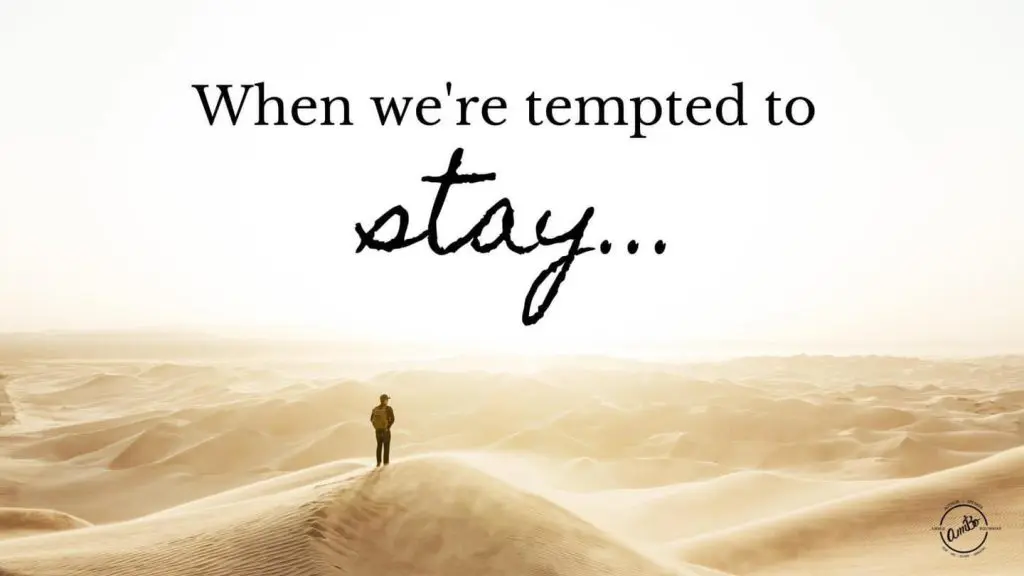 A person standing in the desert with words " when we 're tempted to stay."