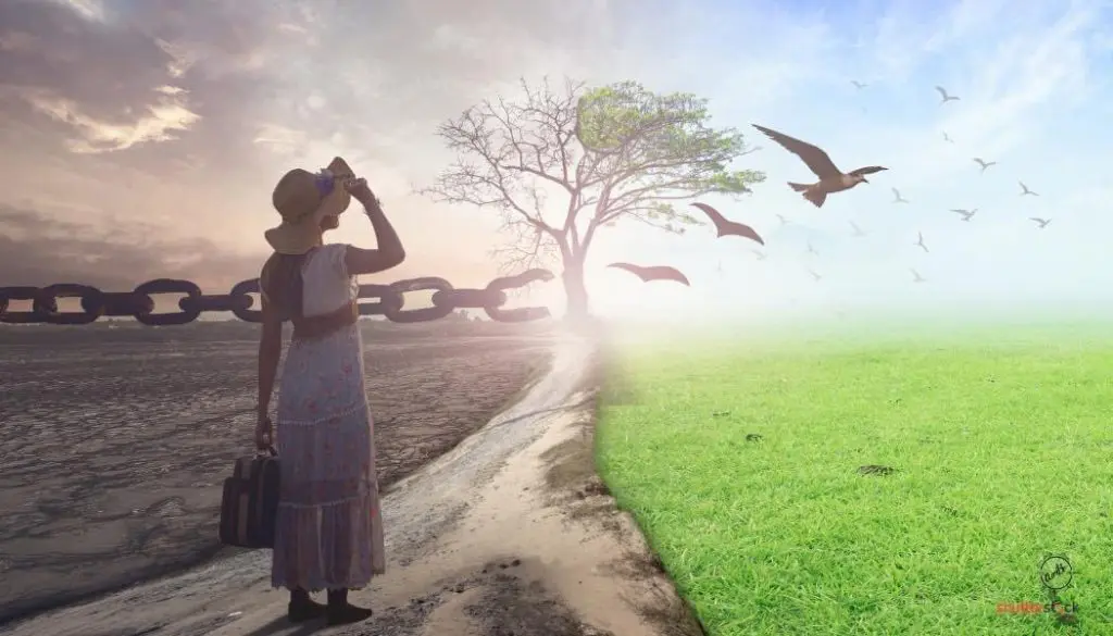 A woman standing on the side of a road looking at birds flying over her.