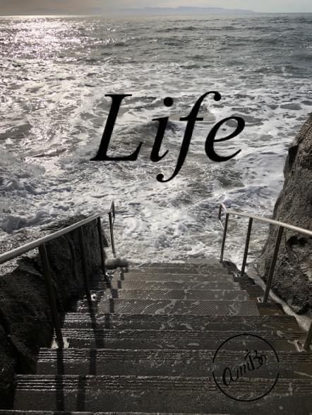 A staircase leading to the ocean with the word life written on it.